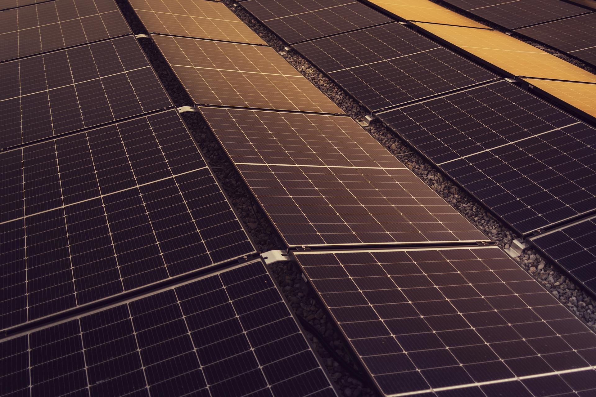 Longi panel rows in production on the DGD Shredding roof