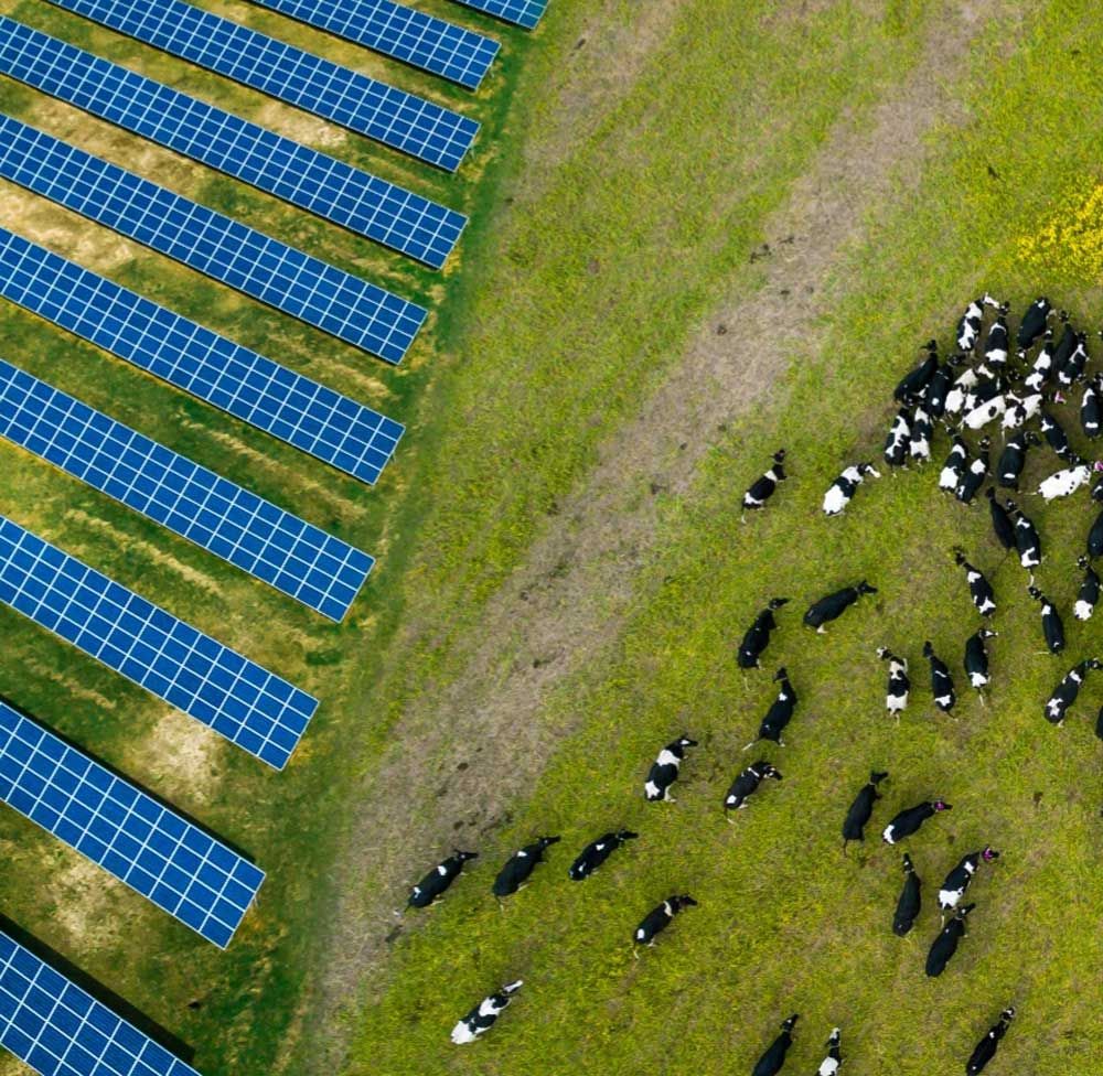 Farm buildings with solar PV panels installed by MarVal Power